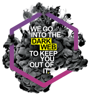 We go into the dark web to keep you out of it.