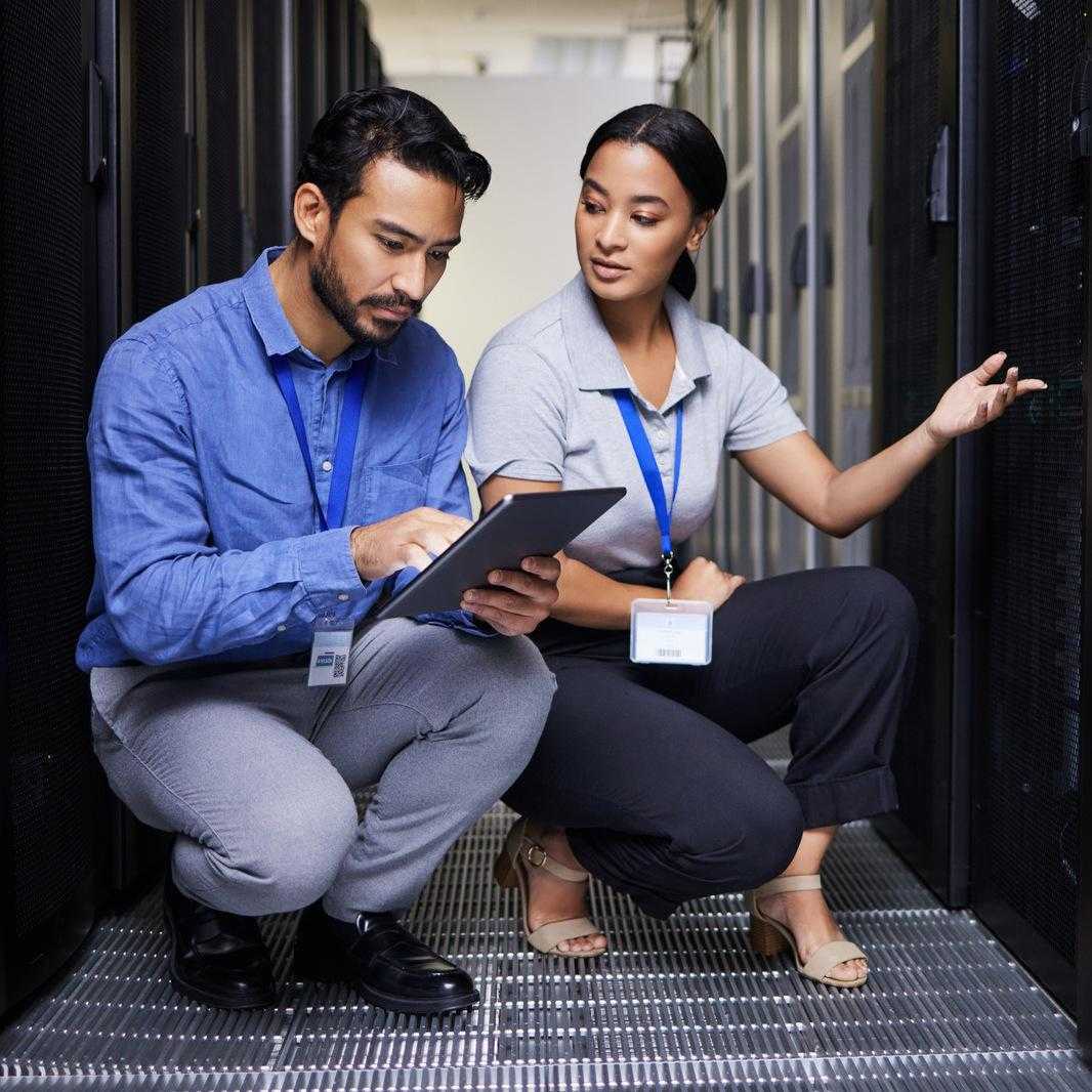 IT Professionals Working IT Professionals Working