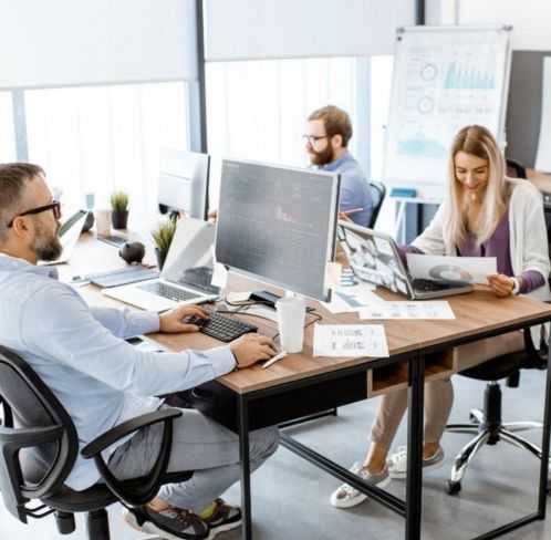 Business Professionals Collaborating