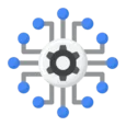 Network & IT Support