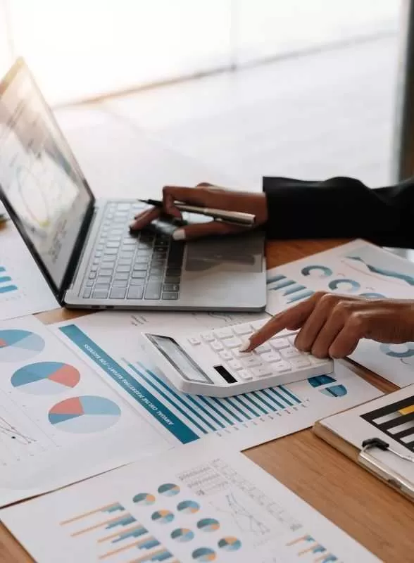 IT Analyst Working On Financial Data Reports<br />
