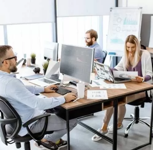 IT Team Working on Computers in Modern Office<br />
